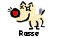 Rasse