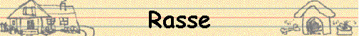 Rasse