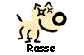 Rasse